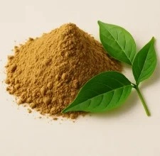 Glycotide™ Gymnema Leaf Extract